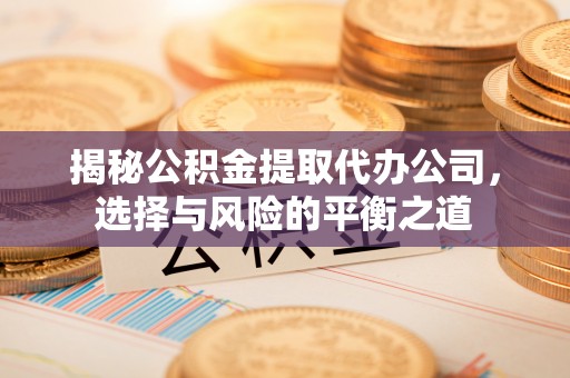 泸水揭秘公积金提取代办公司，选择与风险的平衡之道