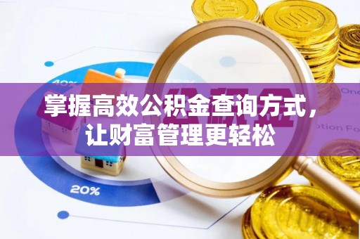 泸水掌握高效公积金查询方式，让财富管理更轻松