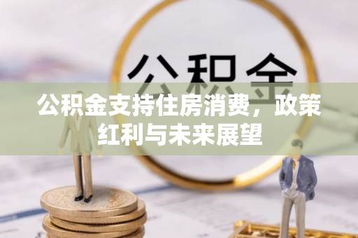 泸水公积金支持住房消费，政策红利与未来展望