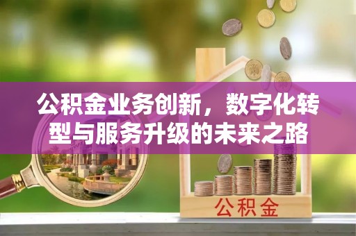 泸水公积金业务创新，数字化转型与服务升级的未来之路