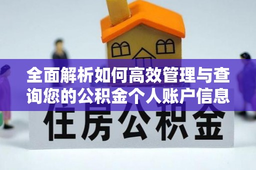 泸水全面解析如何高效管理与查询您的公积金个人账户信息