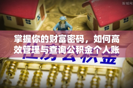 泸水掌握你的财富密码，如何高效管理与查询公积金个人账户信息