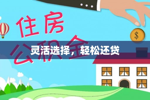 泸水灵活选择，轻松还贷