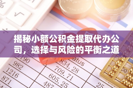 泸水揭秘小额公积金提取代办公司，选择与风险的平衡之道