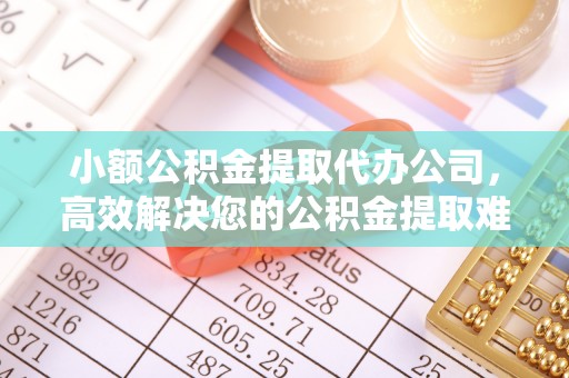 泸水小额公积金提取代办公司，高效解决您的公积金提取难题