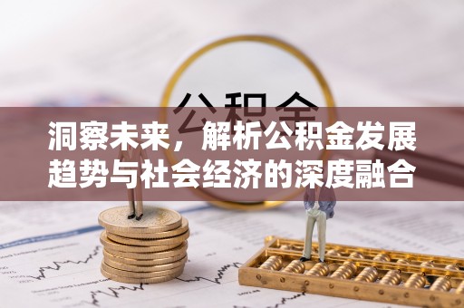 泸水洞察未来，解析公积金发展趋势与社会经济的深度融合