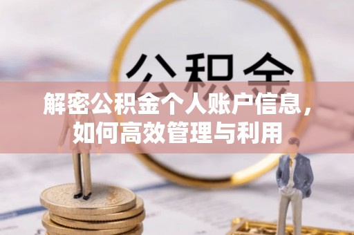 泸水解密公积金个人账户信息，如何高效管理与利用