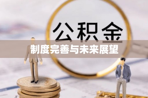 泸水制度完善与未来展望
