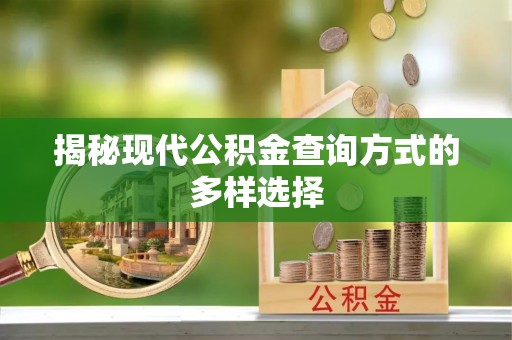 泸水揭秘现代公积金查询方式的多样选择