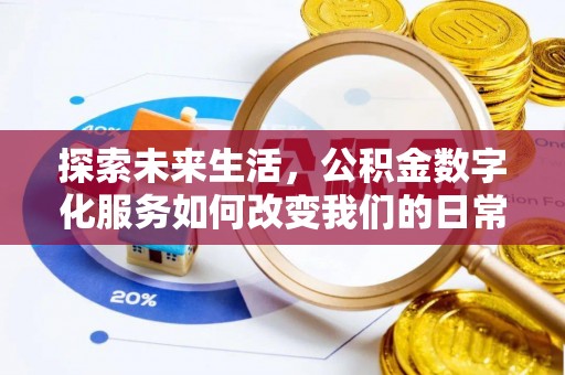 泸水探索未来生活，公积金数字化服务如何改变我们的日常