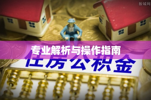 泸水专业解析与操作指南