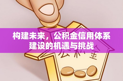 泸水构建未来，公积金信用体系建设的机遇与挑战