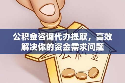 泸水公积金咨询代办提取，高效解决你的资金需求问题