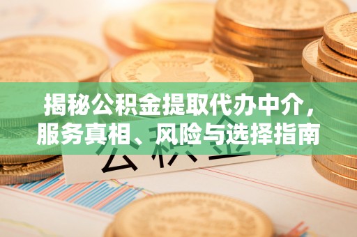 泸水揭秘公积金提取代办中介，服务真相、风险与选择指南