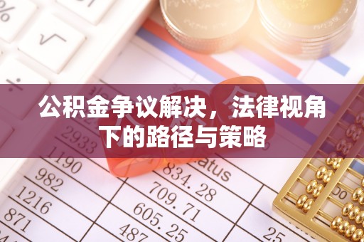 泸水公积金争议解决，法律视角下的路径与策略