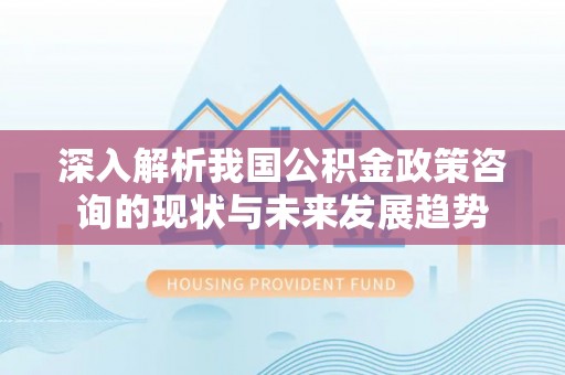 泸水深入解析我国公积金政策咨询的现状与未来发展趋势