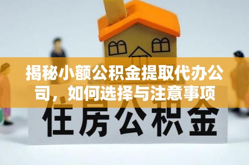 泸水揭秘小额公积金提取代办公司，如何选择与注意事项