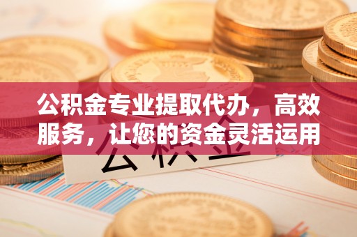 泸水公积金专业提取代办，高效服务，让您的资金灵活运用