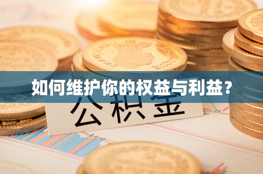 泸水如何维护你的权益与利益？
