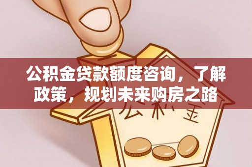 泸水公积金贷款额度咨询，了解政策，规划未来购房之路