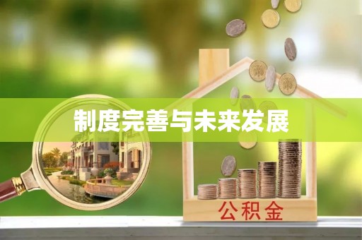 泸水制度完善与未来发展