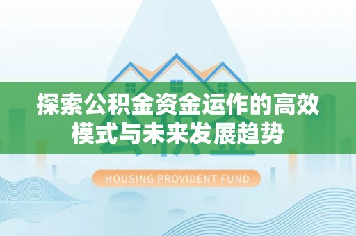 泸水探索公积金资金运作的高效模式与未来发展趋势