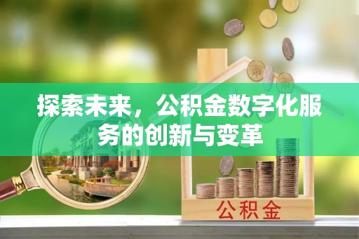 泸水探索未来，公积金数字化服务的创新与变革