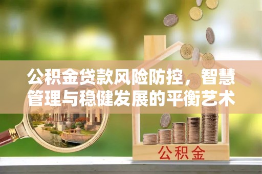 泸水公积金贷款风险防控，智慧管理与稳健发展的平衡艺术