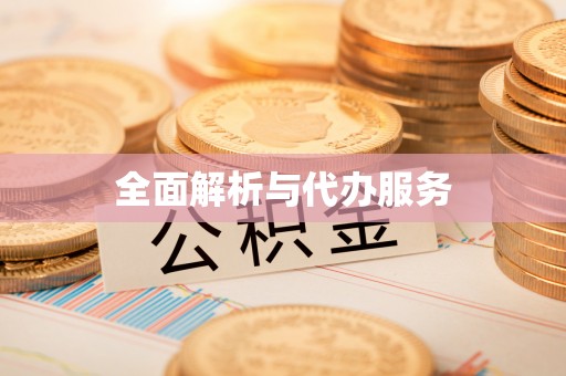 泸水全面解析与代办服务