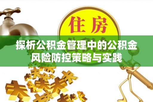 泸水探析公积金管理中的公积金风险防控策略与实践