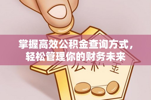 泸水掌握高效公积金查询方式，轻松管理你的财务未来
