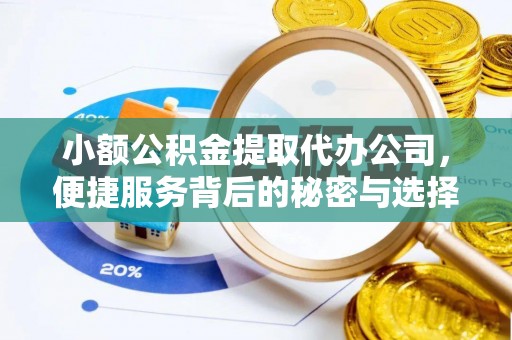 泸水小额公积金提取代办公司，便捷服务背后的秘密与选择指南