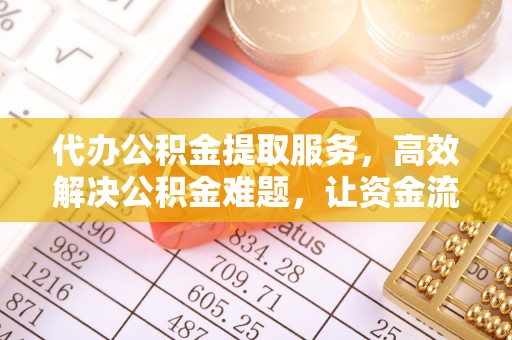 泸水代办公积金提取服务，高效解决公积金难题，让资金流动更自由