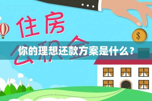 泸水你的理想还款方案是什么？