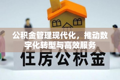 泸水公积金管理现代化，推动数字化转型与高效服务