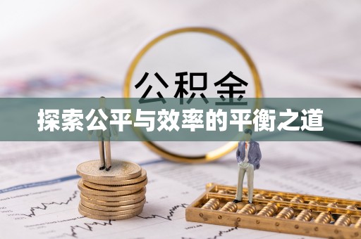 泸水探索公平与效率的平衡之道