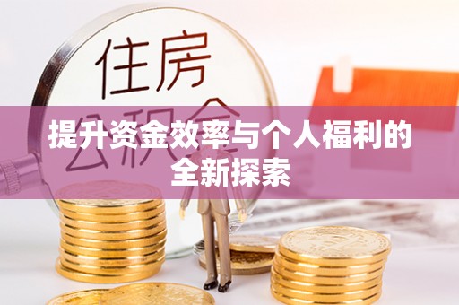 泸水提升资金效率与个人福利的全新探索