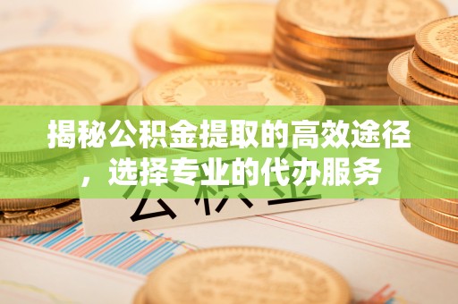 泸水揭秘公积金提取的高效途径，选择专业的代办服务