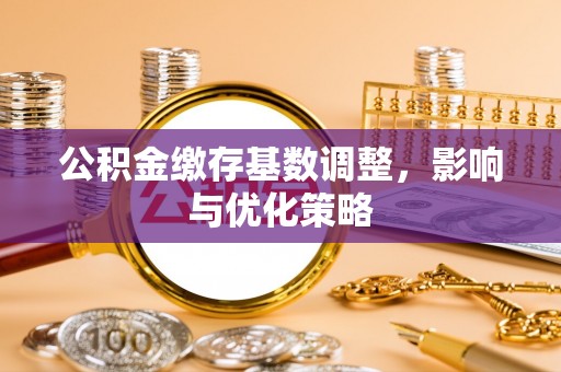 泸水公积金缴存基数调整，影响与优化策略