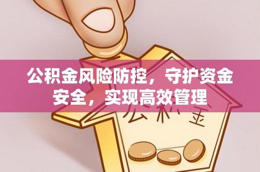 泸水公积金风险防控，守护资金安全，实现高效管理
