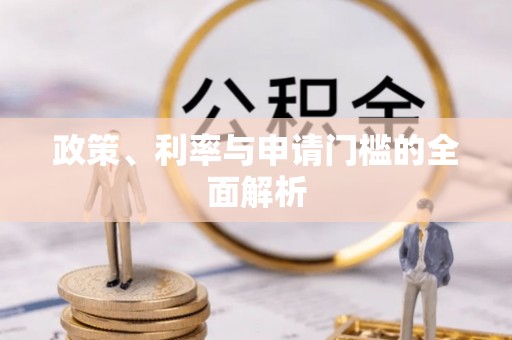 泸水政策、利率与申请门槛的全面解析