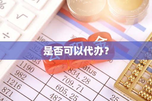 泸水是否可以代办？