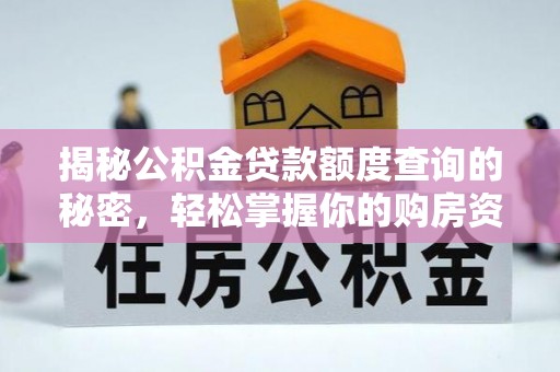 泸水揭秘公积金贷款额度查询的秘密，轻松掌握你的购房资金