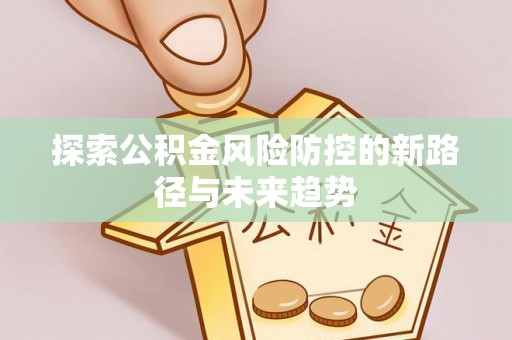 泸水探索公积金风险防控的新路径与未来趋势