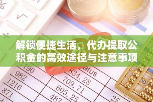 泸水解锁便捷生活，代办提取公积金的高效途径与注意事项