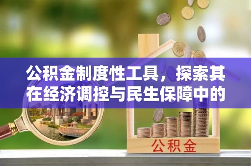 泸水公积金制度性工具，探索其在经济调控与民生保障中的重要作用