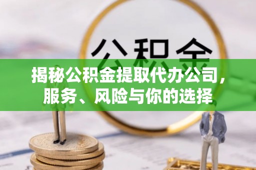 泸水揭秘公积金提取代办公司，服务、风险与你的选择
