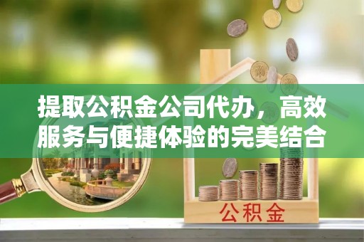 泸水提取公积金公司代办，高效服务与便捷体验的完美结合
