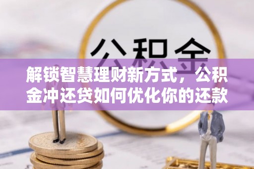 泸水解锁智慧理财新方式，公积金冲还贷如何优化你的还款计划