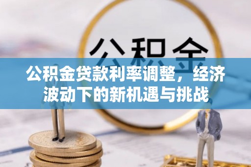 泸水公积金贷款利率调整，经济波动下的新机遇与挑战